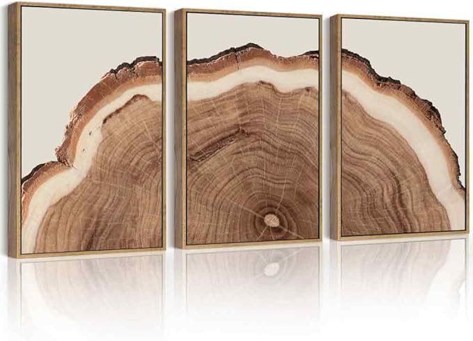 Drsoum Vintage Retro Tree Rings Wood Framed Wall Art Wood Stump Prints Modern Nature Rustic Artwork Bedroom Living Room Ready to Hang 11x14in Natural Framed