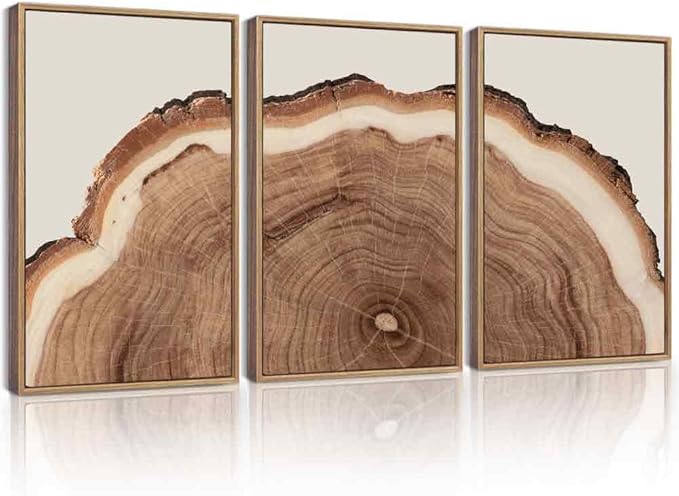 Drsoum Vintage Retro Tree Rings Wood Framed Wall Art Wood Stump Prints Modern Nature Rustic Artwork Bedroom Living Room Ready to Hang 16x24in Natural Framed