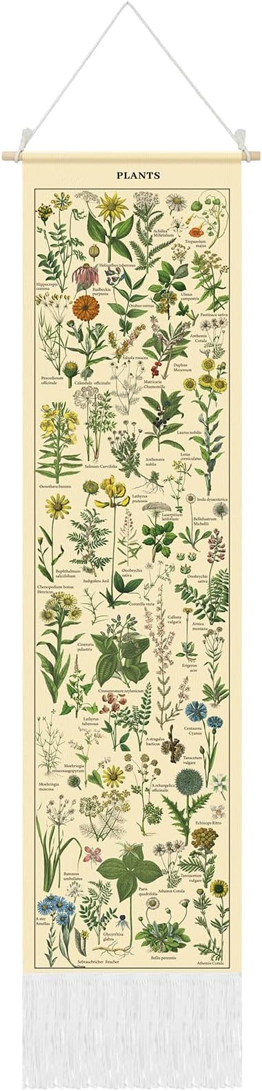 Tegeme Vintage Tapestry 52 x 13 Inch, Long Vertical Wall Hanging Reference Illustrative Botanical Tassel Tapestry for Bedroom Living Room Home Decoration(Plants)