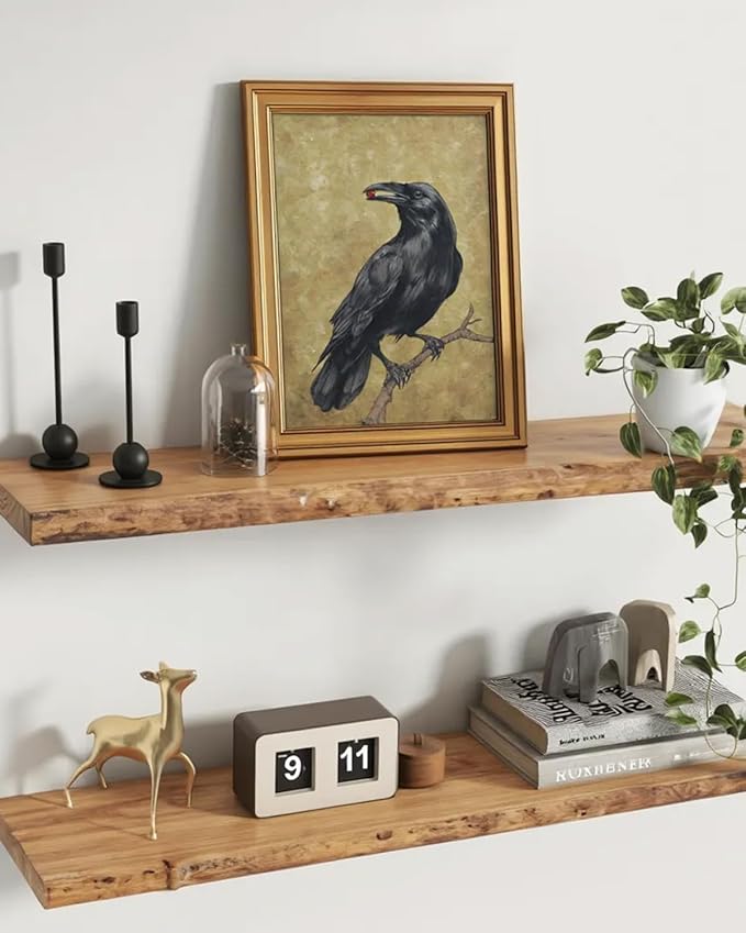 InSimSea Gold Framed Canvas Prints Wall Art, Vintage Birds Decor, Funny Crow Gemstone Paintings Farmhouse Wall Decor Aesthetic, Antique Pictures for Bedroom Living Room Shelf, 12x16inch