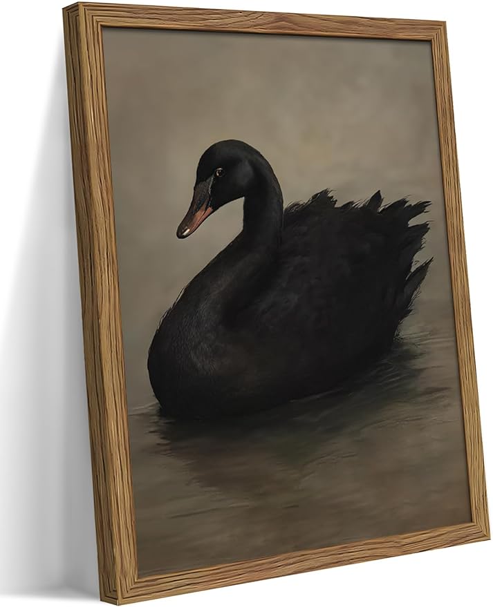Framed Black Swan Wall Art, Dark Academia Gothic Swan Canvas, Vintage Victorian Animal Pictures Prints, Rustic Farmhouse Wall Decor for Living Room Bedroom Bathroom – 16x24 inch