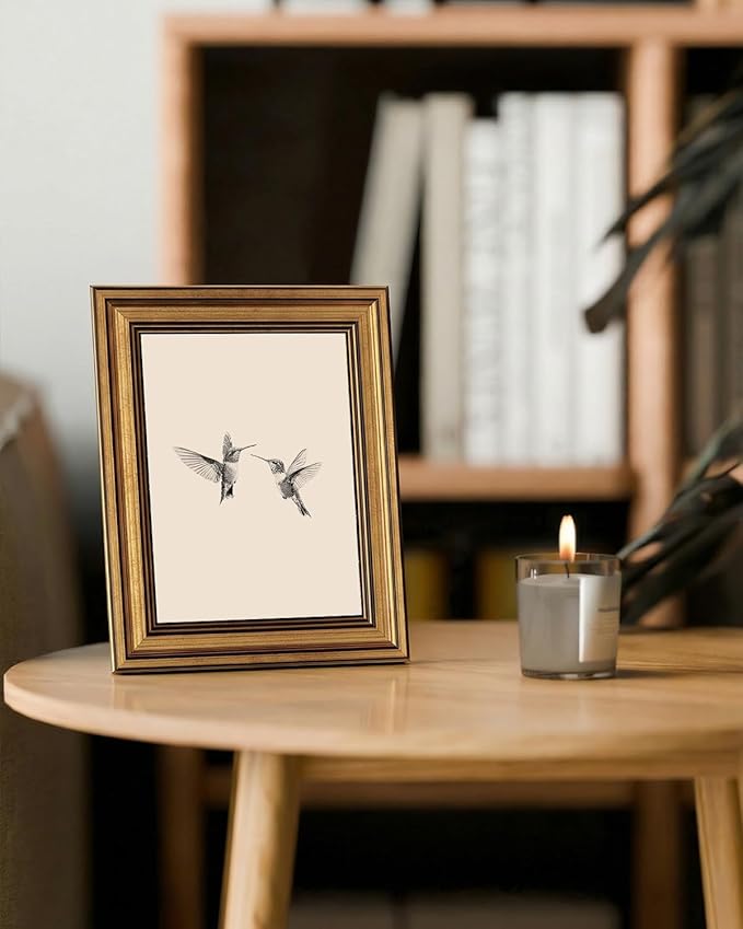 InSimSea Gold Framed Canvas Wall Art, Vintage Birds Wall Decor for Living Room, Two Hummingbirds Sketch Paintings Farmhouse Decor Aesthetic, Small Prints for Bedroom Shelf Gift, 8x10inch