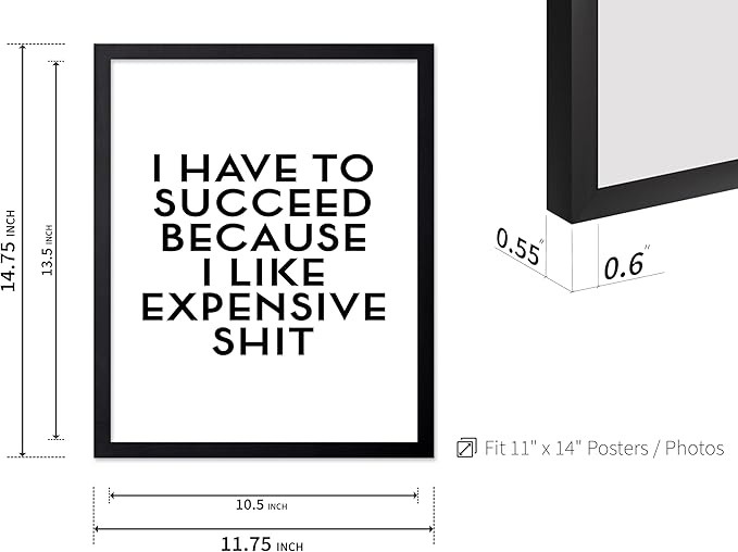 Poster Master Motivational Poster - Inspirational Print - I Have To Succeed, I Like Expensive Shit, Funny, Humorous - Gift for Friend, Colleague - Wall Decor for Home, Office, 11x14 Black Framed