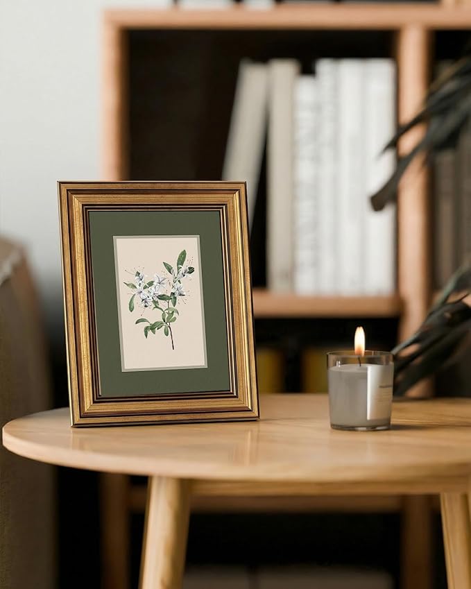 InSimSea Gold Framed Canvas Wall Art, Vintage Botanical Wall Decor for Living Room, White Floral Paintings Farmhouse Decor Aesthetic, Small Minimalist Prints for Bedroom Shelf Gift, 8x10inch