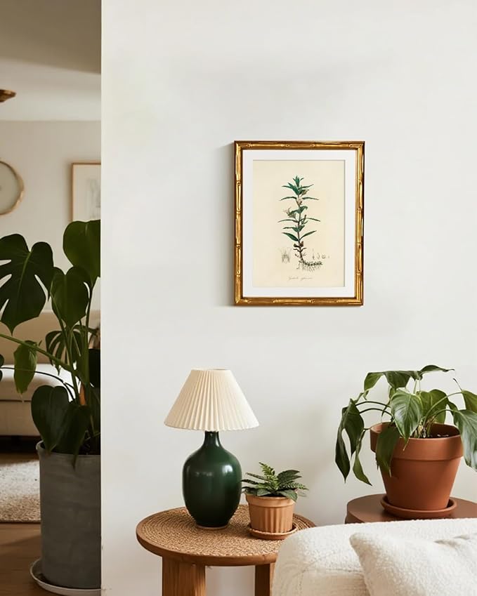InSimSea Gold Bamboo Framed Canvas Wall Art, Vintage Kitchen Herbs Paintings, Antique Hyssopus Officinalis Botanical Picture Frame with Mat, Wall Decor for Living Room Bedroom Office, 11x14inch