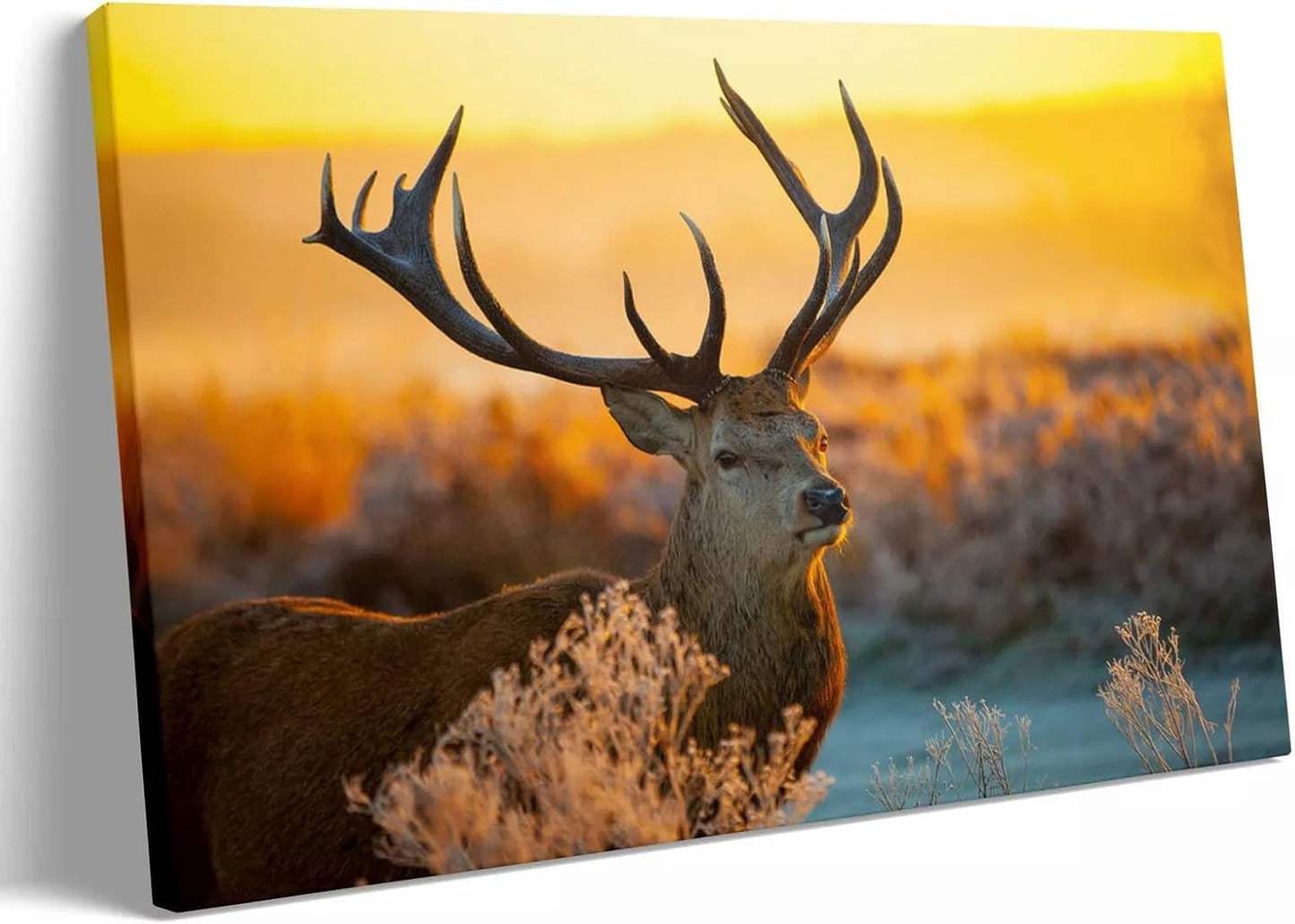 Personalized Custom Canvas Prints: 24L x 36W Photo On Canva Transform Your Photos into Stunning Framed Wall Art Digitally Printed (24L x 36W, Framed)