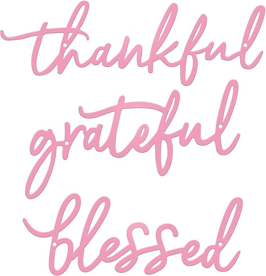 Thankful Grateful Blessed Letter Sign Metal Wall Decor, 3 Pieces Pink Letters Wall Art for Bathroom Bedroom Metal Words Wall Decor for Home Decor (Pink)