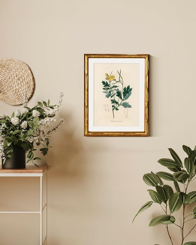 InSimSea Gold Bamboo Framed Canvas Wall Art, Kitchen Herbs Botanical Paintings, Antique Vintage Plant Picture Frame with Mat, Victorian Home Wall Decor for Living Room Bedroom, 11x14inch