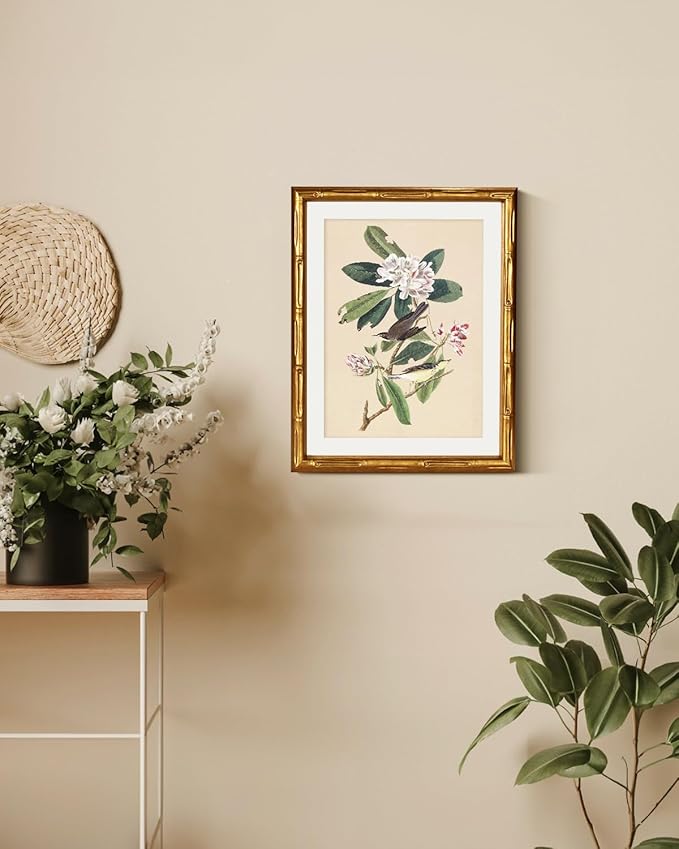 InSimSea Gold Bamboo Framed Canvas Wall Art, 11x14inch, Vintage Bird Floral Botanical Paintings, Antique Picture Frame with Mat, Victorian Home Wall Decor for Living Room Bedroom