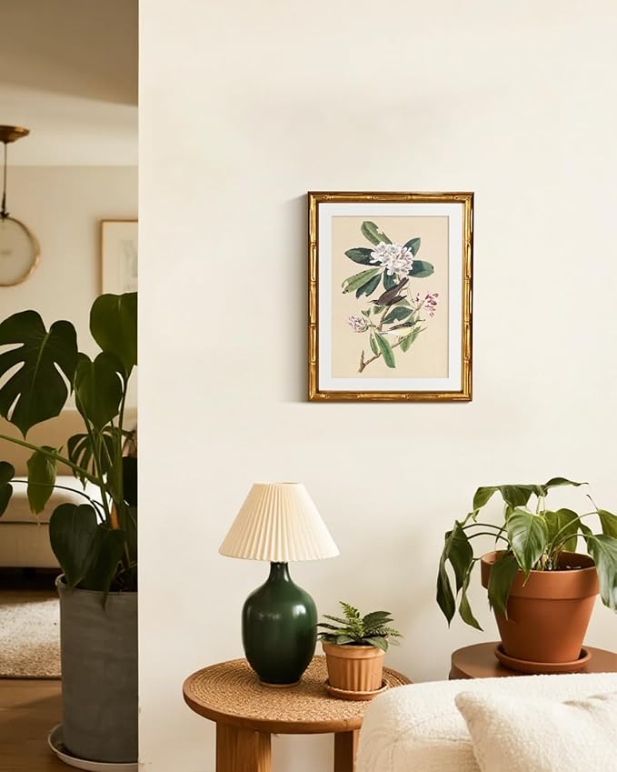 InSimSea Gold Bamboo Framed Canvas Wall Art, 11x14inch, Vintage Bird Floral Botanical Paintings, Antique Picture Frame with Mat, Victorian Home Wall Decor for Living Room Bedroom
