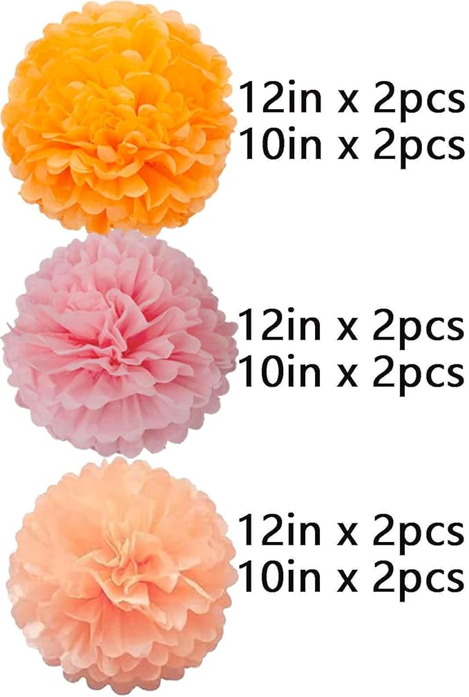 We Moment Orange Pink and Peach Paper Flowers Pom Poms Decorations for Party Decorations Baby Shower Ceiling Wall Hanging Tissue Pom Poms 12pcs 3 Colors