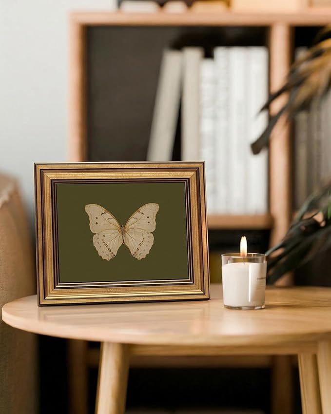 InSimSea Gold Framed Canvas Wall Art, Vintage Butterfly Wall Decor for Living Room, Moody Paintings Farmhouse Decor, Small Minimalist Prints for Bedroom Bathroom Shelf Gift, 8x10inch
