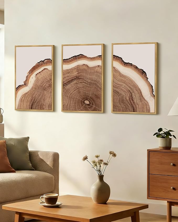 Drsoum Vintage Retro Tree Rings Wood Framed Wall Art Wood Stump Prints Modern Nature Rustic Artwork Bedroom Living Room Ready to Hang 16x24in Natural Framed