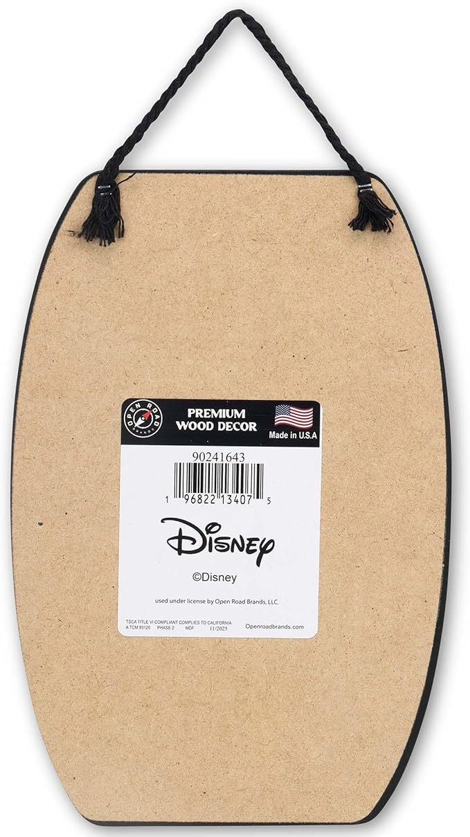 Disney Moana I Got Your Back Hanging Wood Wall Decor - Cute Pua and Heihei Sign for Home