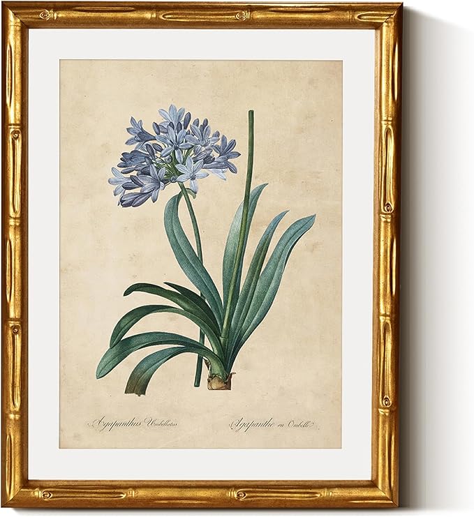 InSimSea Gold Bamboo Framed Canvas Wall Art, Retro African Lily Botanical Prints, Antique Floral Picture Frame with Mat, Victorian Home Wall Decor for Kitchen Dining Living Room Bedroom, 11x14inch