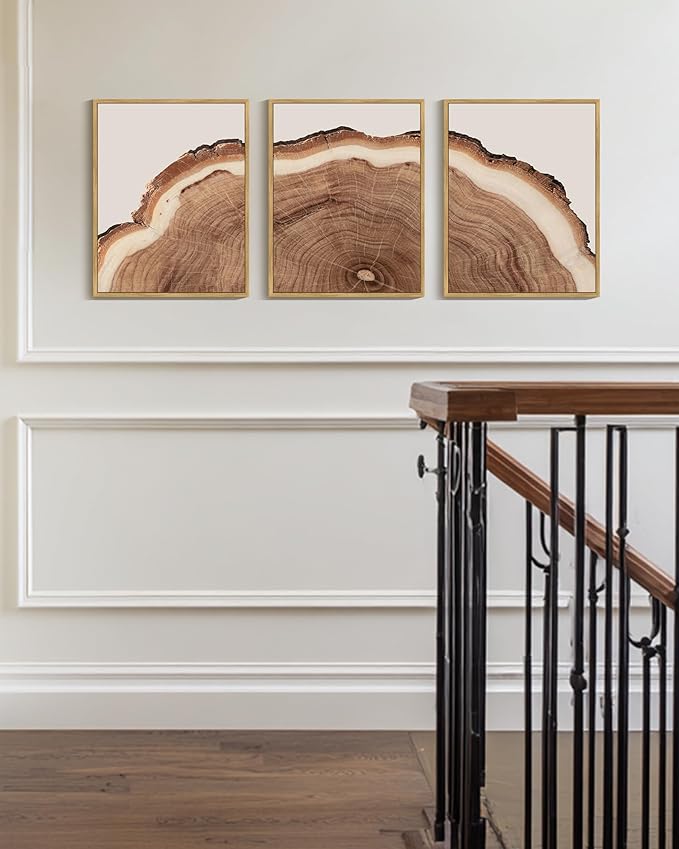 Drsoum Vintage Retro Tree Rings Wood Framed Wall Art Wood Stump Prints Modern Nature Rustic Artwork Bedroom Living Room Ready to Hang 11x14in Natural Framed