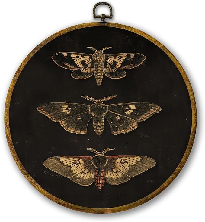 Mcehtle Vintage Butterfly Wall Art Decor, Dark Moody Cottagecore Moth Butterfly Framed Canvas Prints 10x10, Neutral Farmhouse Round Wall Hanging Artwork Decorations for Bedroom Living Room