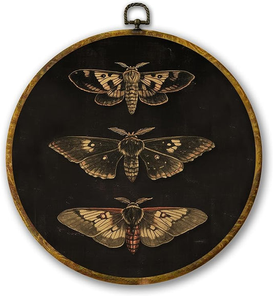 Mcehtle Vintage Butterfly Wall Art Decor, Dark Moody Cottagecore Moth Butterfly Framed Canvas Prints 10x10, Neutral Farmhouse Round Wall Hanging Artwork Decorations for Bedroom Living Room