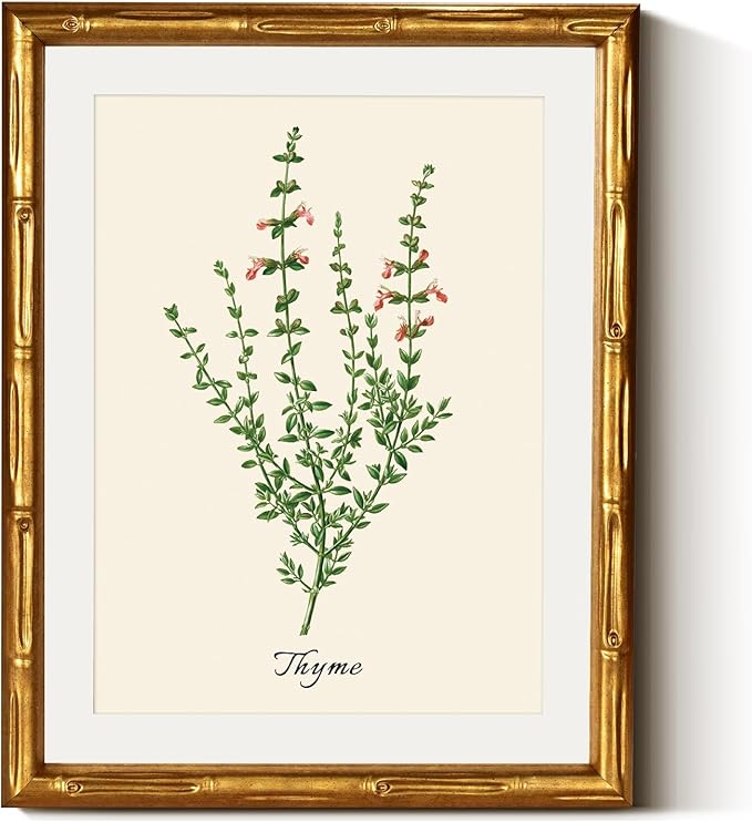 InSimSea Gold Bamboo Framed Canvas Wall Art, Vintage Watercolor Thyme Herbs Prints, Antique Picture Frame with Mat, Victorian Home Wall Decor for Kitchen Dining Living Room Bedroom, 11x14inch