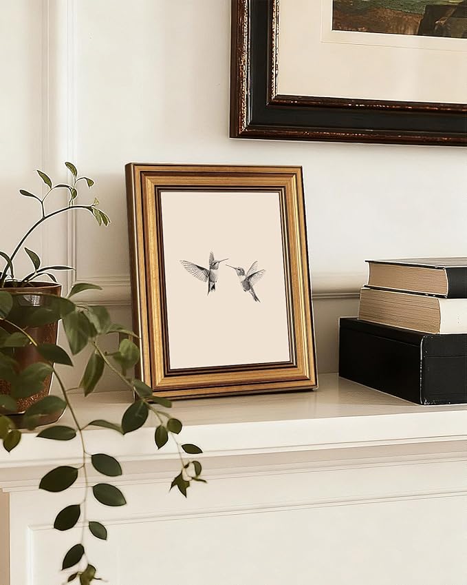 InSimSea Gold Framed Canvas Wall Art, Vintage Birds Wall Decor for Living Room, Two Hummingbirds Sketch Paintings Farmhouse Decor Aesthetic, Small Prints for Bedroom Shelf Gift, 8x10inch