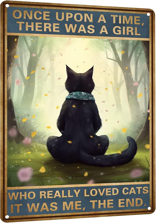 HYBLOM Black Cat Decor - Once Upon a Time Sign - Vintage Cat Decor for Home, Bedroom, Kitchen, Office, Cafe, Bar, Cat Lover Gifts, Metal Tin Sign 12x8 Inches