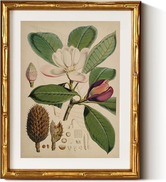 InSimSea Gold Bamboo Framed Canvas Wall Art, Retro Nature Magnolia Botanical Paintings, Antique Vintage Picture Frame with Mat, Victorian Home Wall Decor for Living Room Kitchen Dining, 11x14inch