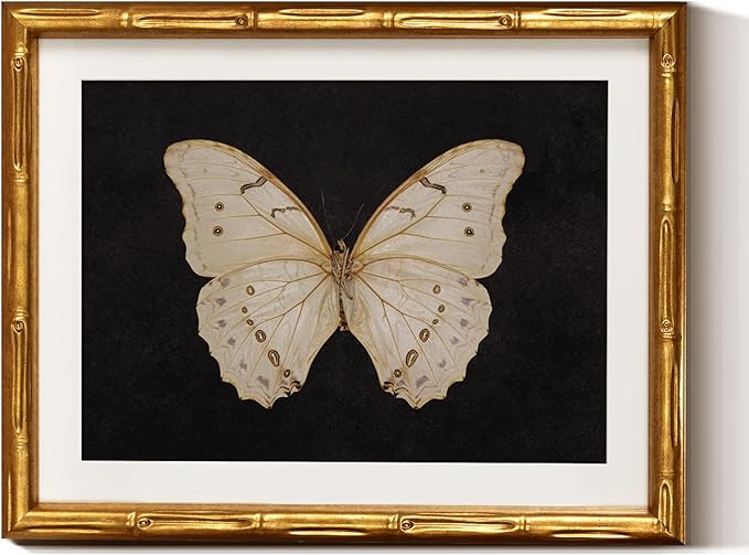 InSimSea Gold Bamboo Framed Canvas Wall Art, Retro White Butterfly Animal Paintings, Antique Vintage Picture Frame with Mat, Victorian Home Wall Decor for Living Room Bedroom Gallery, 11x14inch