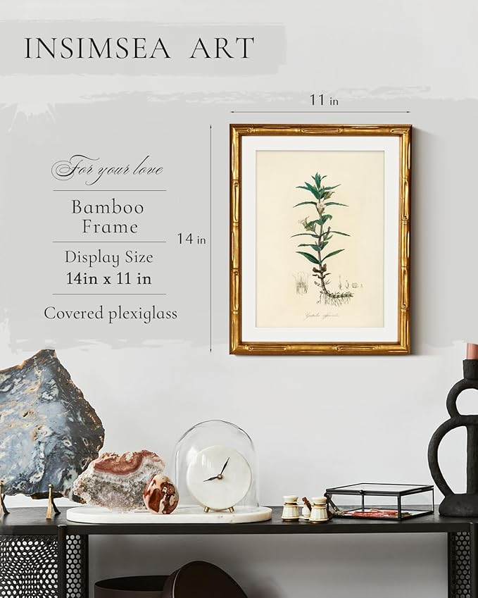 InSimSea Gold Bamboo Framed Canvas Wall Art, Vintage Kitchen Herbs Paintings, Antique Hyssopus Officinalis Botanical Picture Frame with Mat, Wall Decor for Living Room Bedroom Office, 11x14inch