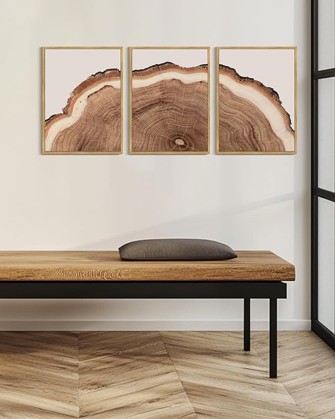 Drsoum Vintage Retro Tree Rings Wood Framed Wall Art Wood Stump Prints Modern Nature Rustic Artwork Bedroom Living Room Ready to Hang 12x16in Natural Framed