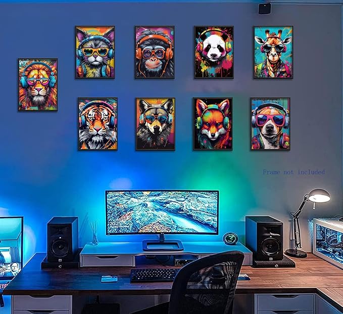 Ucninvd Graffiti Gaming Posters Wall Art Set of 9, Boys Gamer Controller Wall Decor Paintings, DJ Animals Earphone Picture Prints Boys Room Kids teeny for Room Bedroom Decoration 8x10In Unframed