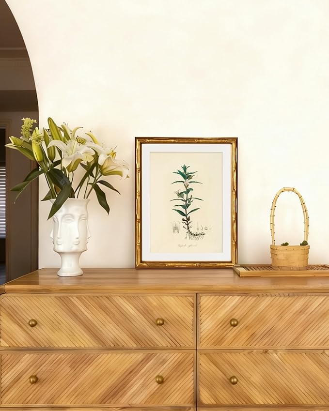 InSimSea Gold Bamboo Framed Canvas Wall Art, Vintage Kitchen Herbs Paintings, Antique Hyssopus Officinalis Botanical Picture Frame with Mat, Wall Decor for Living Room Bedroom Office, 11x14inch