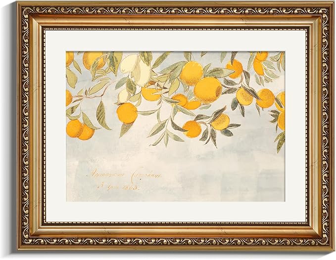 VIYYIEA Gold Framed Vintage Botanical Citrus Fruits Canvas Wall Art, Mediterranean Orange Tree Branch Illustration for Kitchen or Dining Room | Lightweight No Glass, Classic Decor | 11x14 Inch