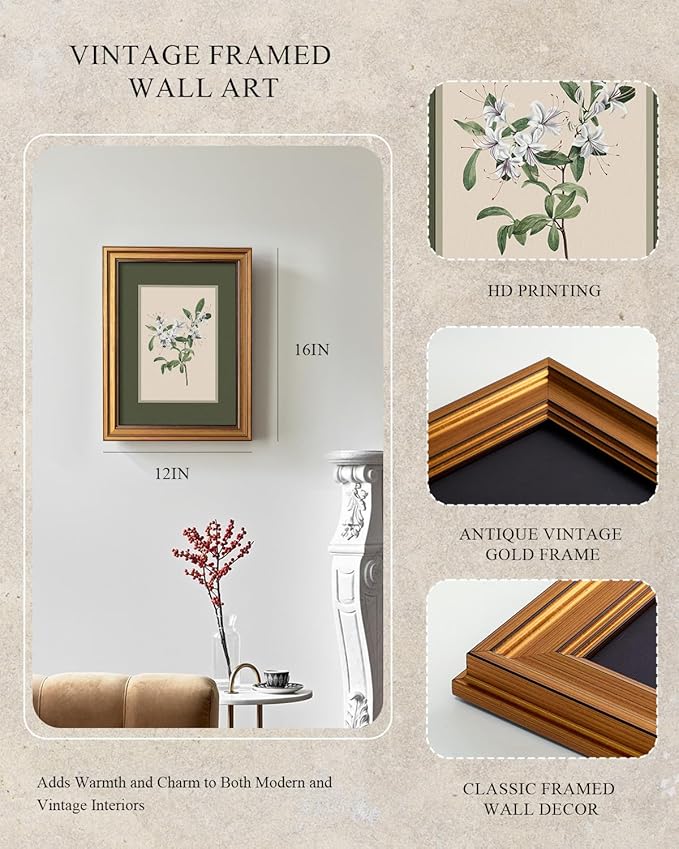 InSimSea Gold Framed Canvas Prints Wall Art, Vintage Nursery Decor, Botanical White Floral Paintings Farmhouse Wall Decor, Antique Minimalist Pictures for Bedroom Living Room Shelf, 12x16inch