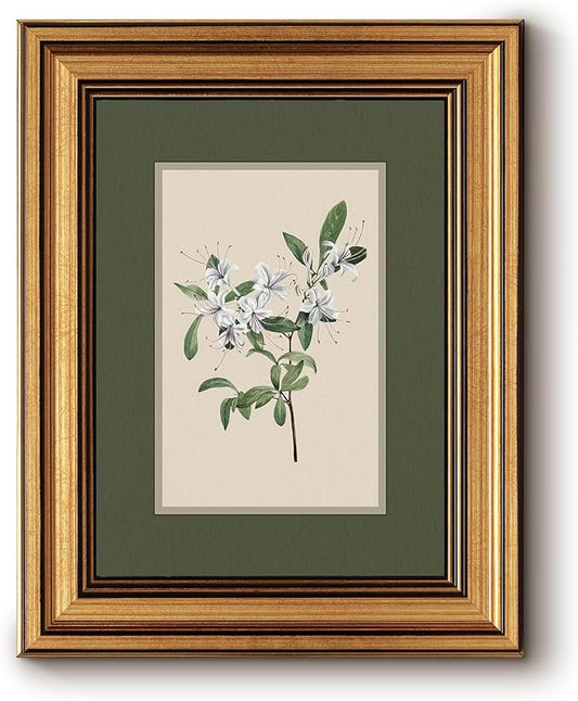 InSimSea Gold Framed Canvas Wall Art, Vintage Botanical Wall Decor for Living Room, White Floral Paintings Farmhouse Decor Aesthetic, Small Minimalist Prints for Bedroom Shelf Gift, 8x10inch