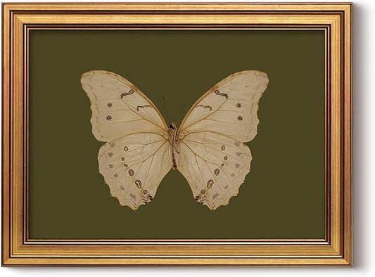 InSimSea Gold Framed Canvas Prints Wall Art, Vintage Butterfly Bathroom Decor, Classical Moody Paintings Farmhouse Wall Decor Aesthetic, Retro Pictures for Bedroom Living Room Shelf, 12x16inch
