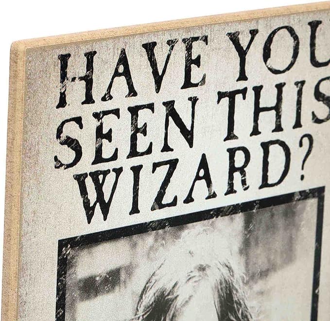 Harry Potter Have You Seen This Wizard Sirius Wood Wall Decor - Vintage Harry Potter Wall Art for Bedroom or Movie Room