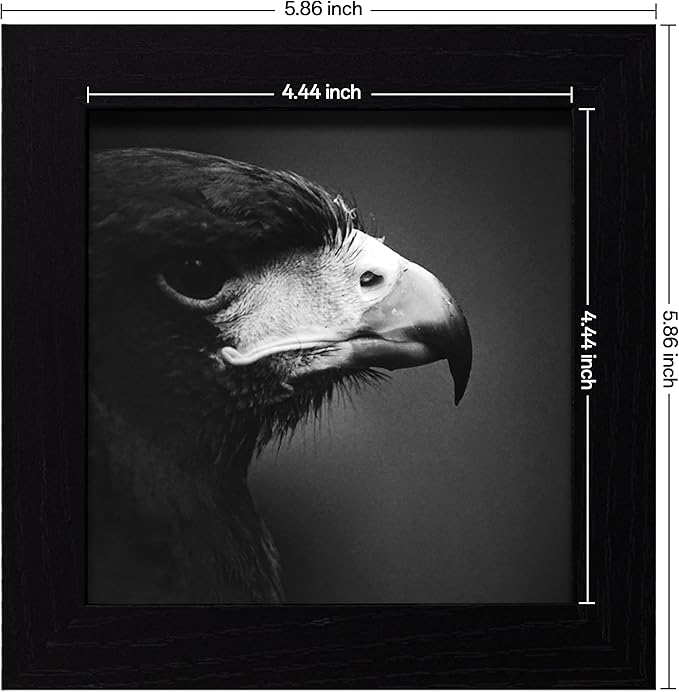 eletecpro 5x5 Picture Frames Set of 9 Classic Gallery Wall Frame Set Displays 5x5 Photo without Mat Square Picture Frames Collage Wall Decor, Black Modern Home Decor for Tabletop and Wall and Mounting