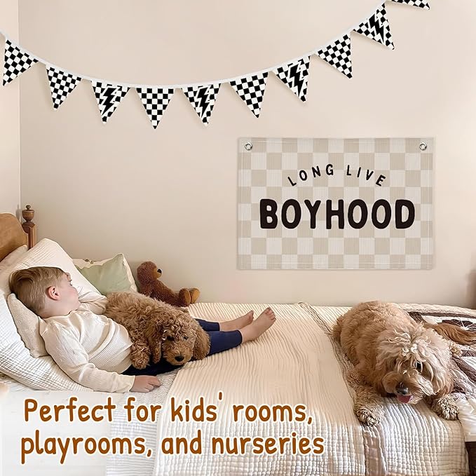 Lacama Cars Room Wall Art Decor Checkered Flag Banner for Toddler Nursery Playroom, Toddler Boy Room Decor，Black and White Checkered Garland Triangle Banners,Bunting Flags for Shower Birthday Party xsj