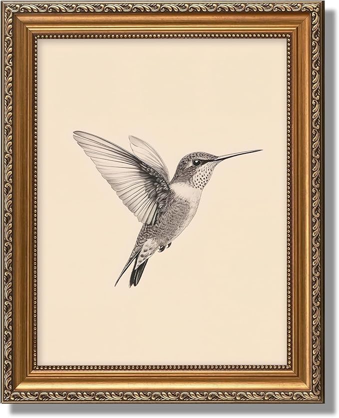 ASTRDECOR Framed Hummingbird Wall Art – Vintage Bird Sketch Painting Picture, Rustic Neutral Canvas Decor for Nursery, Bedroom & Living Room, Gifts for Friends or Family 9"x12"