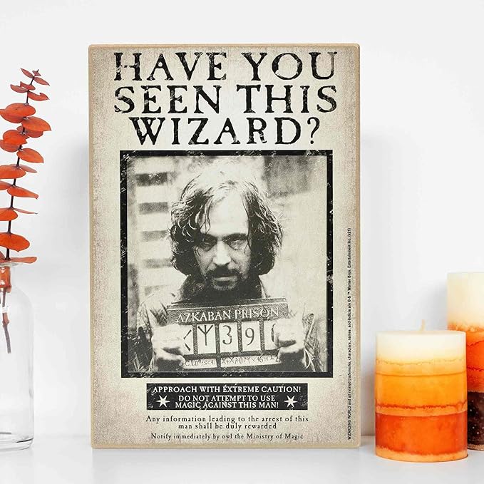 Harry Potter Have You Seen This Wizard Sirius Wood Wall Decor - Vintage Harry Potter Wall Art for Bedroom or Movie Room