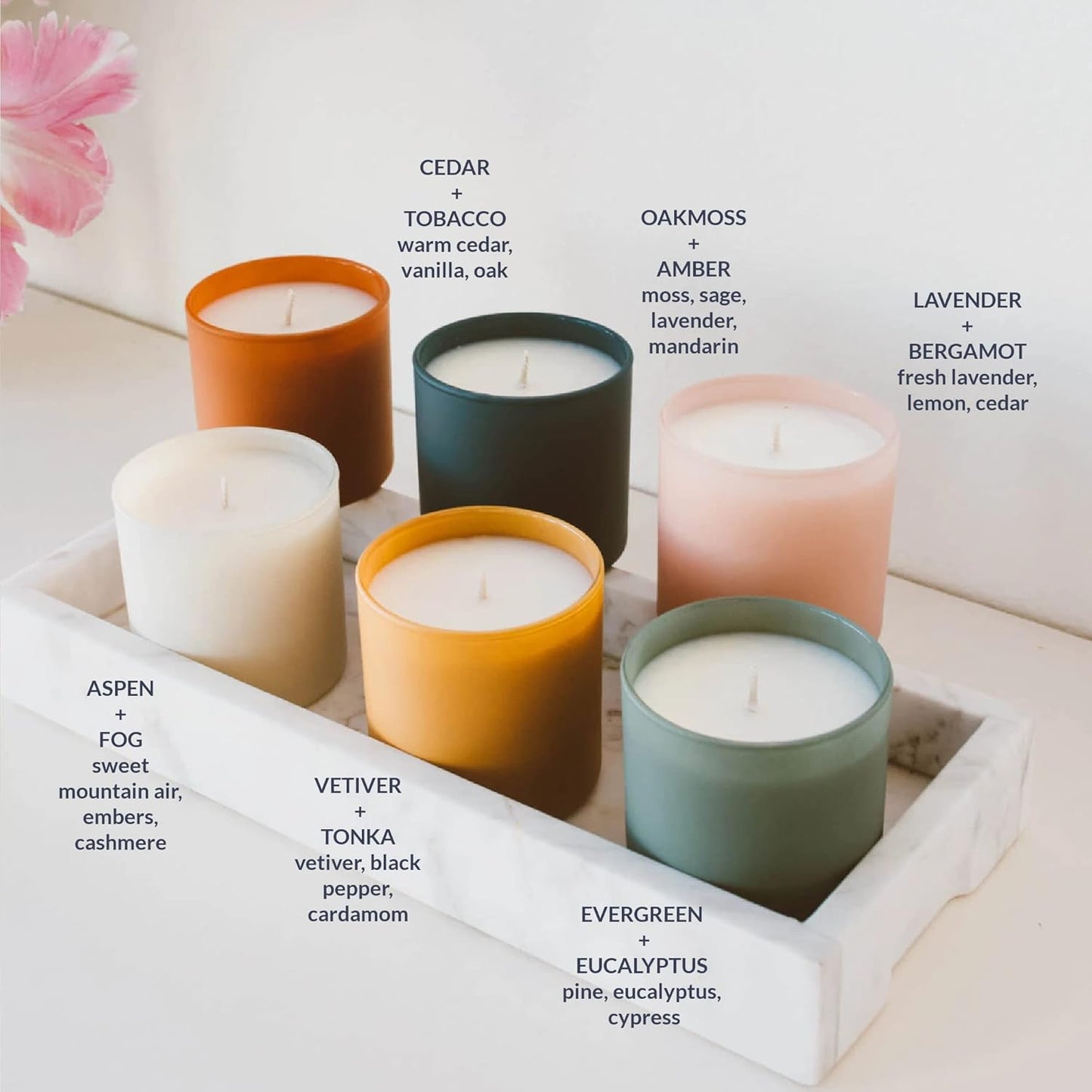 Calyan Wax Co. Scented Candle Gift Set, The Dignity Series Set of 6 Aromatherapy Soy Candles, Non Toxic & Vegan Soy Wax, Glass Jar Candles, 35 Hour Burn Time, 7oz Each
