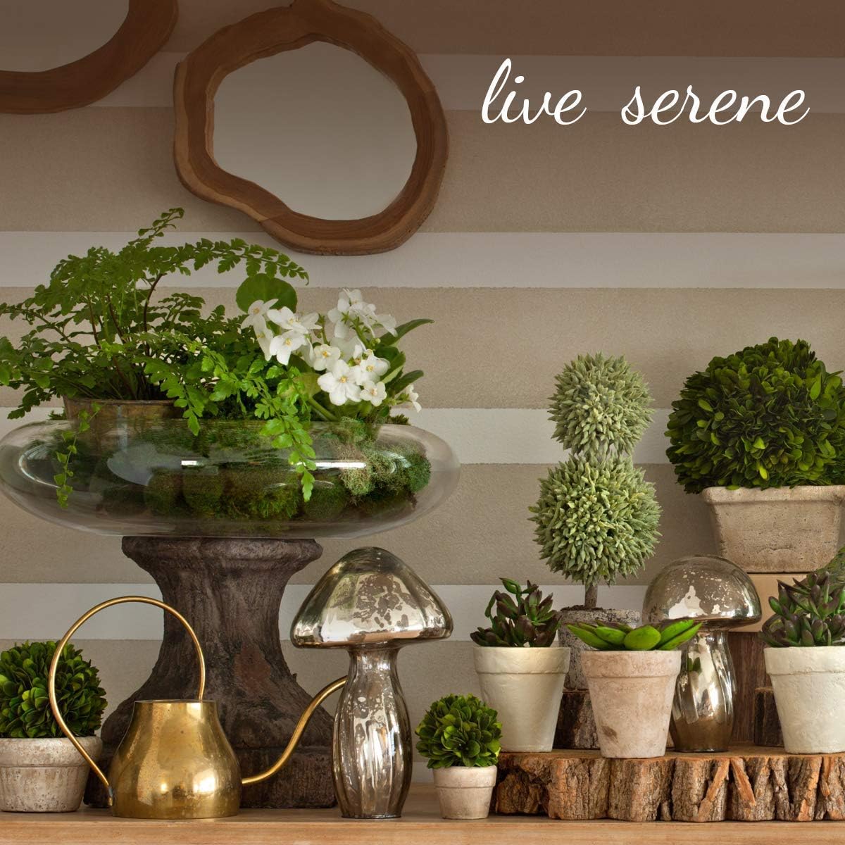 Serene Spaces Living Glazed Ceramic Fishbowl Vase- Centerpiece for Vintage Weddings, Events, Measures 4" Tall and 5" Diameter
