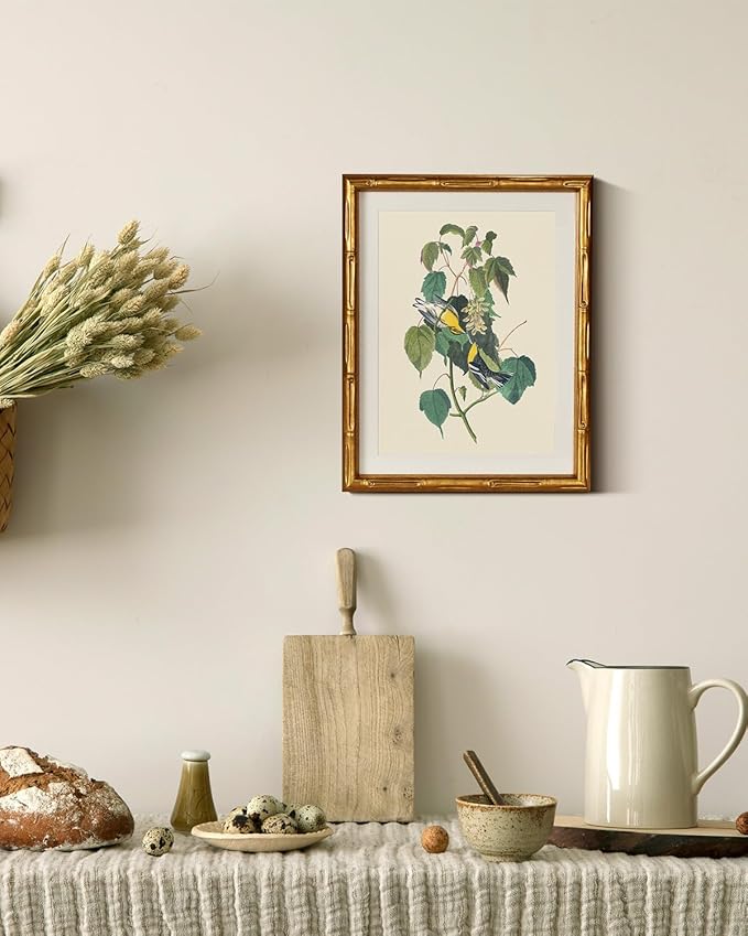 InSimSea Gold Bamboo Framed Canvas Wall Art, Vintage Bird Botanical Paintings, Antique Flowers Picture Frame with Mat, Victorian Home Wall Decor for Kitchen Living Room Bedroom, 11x14inch