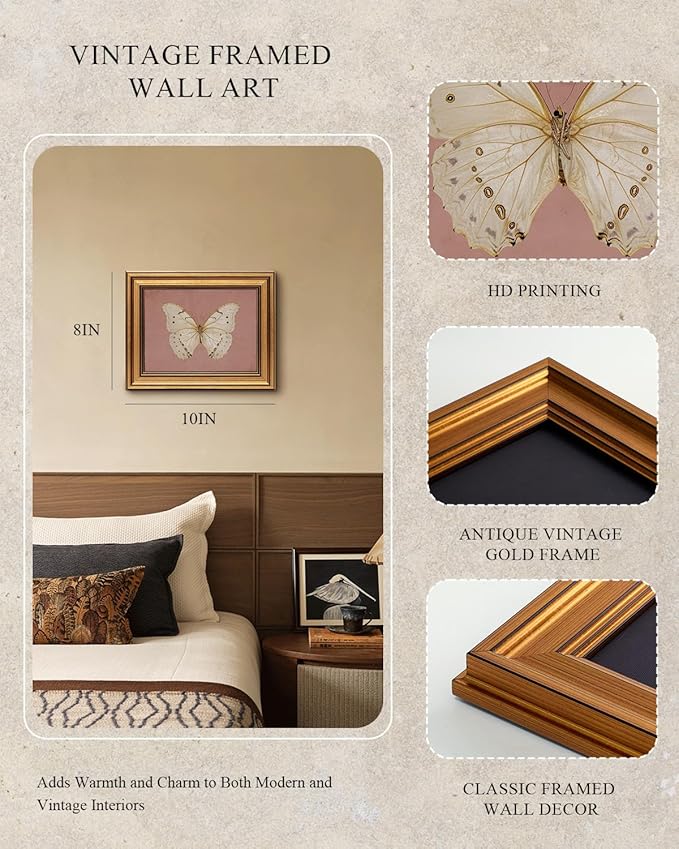 InSimSea Gold Framed Canvas Wall Art, Vintage Wall Decor for Living Room, Moody White Butterfly Paintings Farmhouse Decor, Small Minimalist Prints for Bedroom Bathroom Shelf Gift, 8x10inch