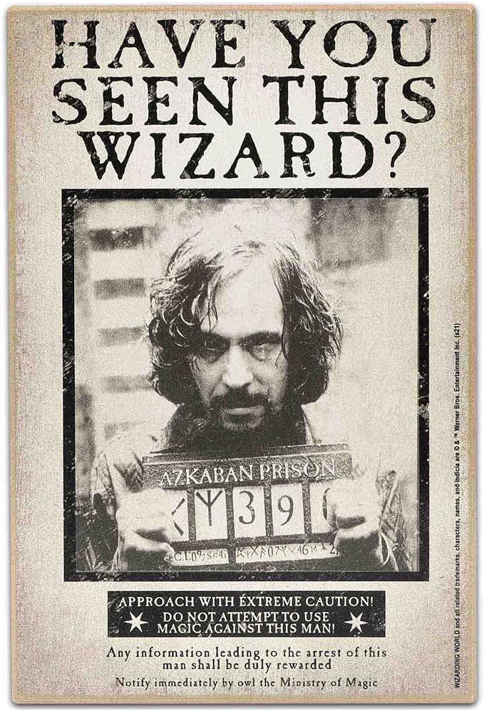 Harry Potter Have You Seen This Wizard Sirius Wood Wall Decor - Vintage Harry Potter Wall Art for Bedroom or Movie Room