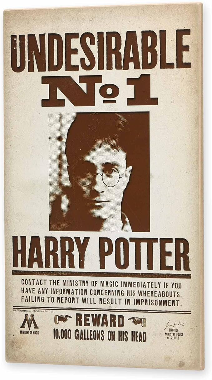 Harry Potter Undesirable No. 1 Wood Wall Decor - Vintage Harry Potter Sign for Kids' Bedroom or Movie Room