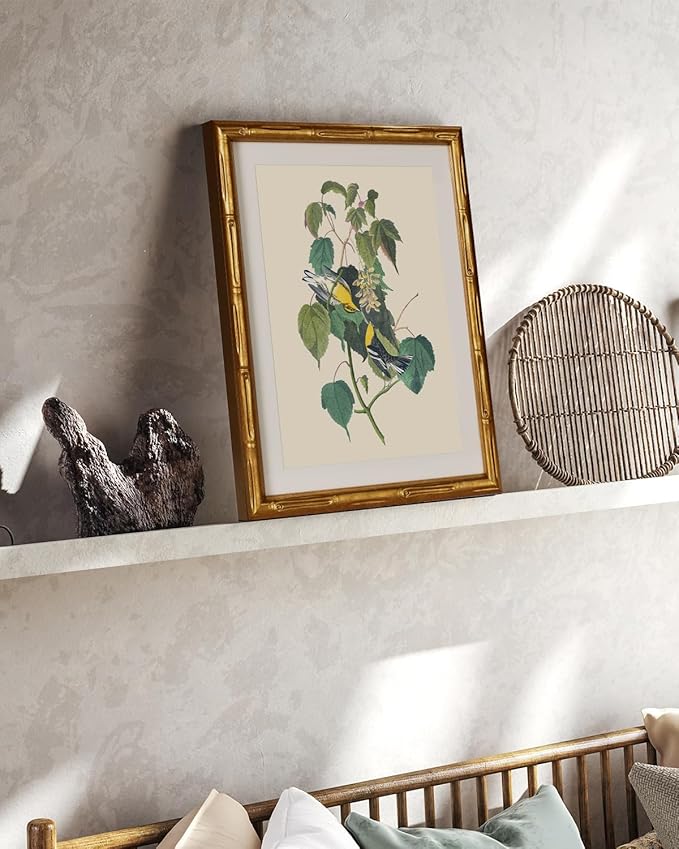InSimSea Gold Bamboo Framed Canvas Wall Art, Vintage Bird Botanical Paintings, Antique Flowers Picture Frame with Mat, Victorian Home Wall Decor for Kitchen Living Room Bedroom, 11x14inch
