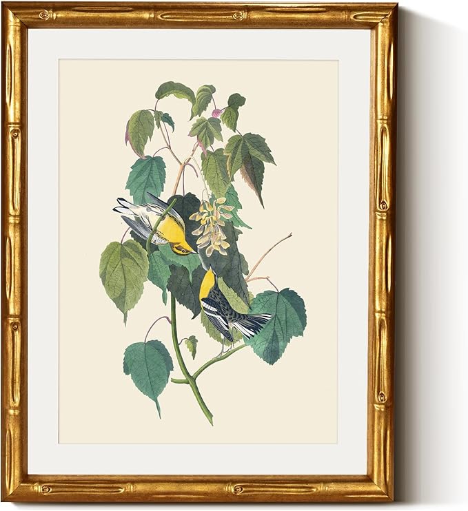 InSimSea Gold Bamboo Framed Canvas Wall Art, Vintage Bird Botanical Paintings, Antique Flowers Picture Frame with Mat, Victorian Home Wall Decor for Kitchen Living Room Bedroom, 11x14inch