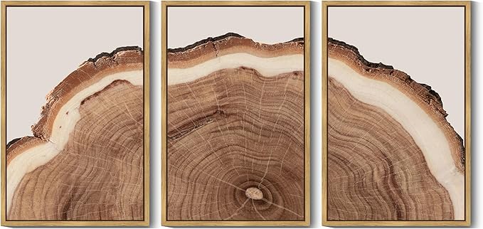 Drsoum Vintage Retro Tree Rings Wood Framed Wall Art Wood Stump Prints Modern Nature Rustic Artwork Bedroom Living Room Ready to Hang 24x36in Natural Framed