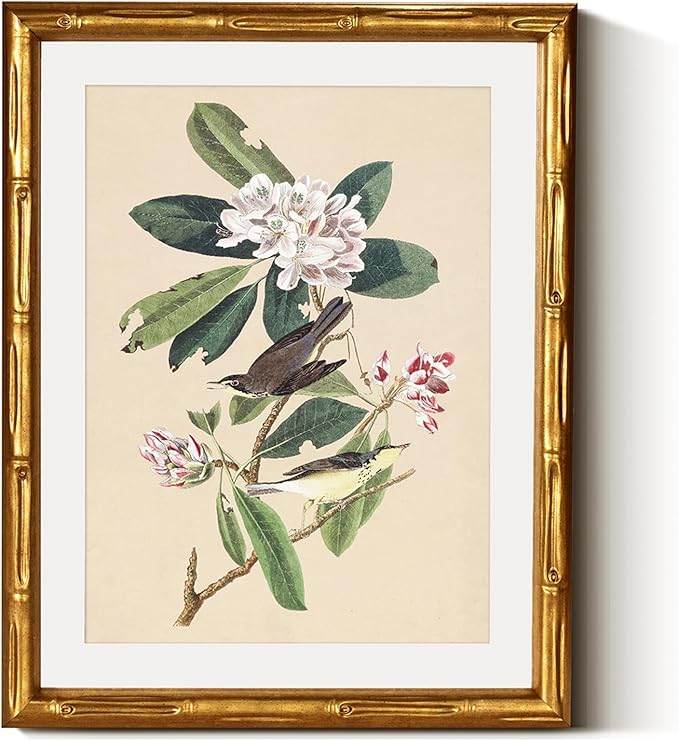 InSimSea Gold Bamboo Framed Canvas Wall Art, 11x14inch, Vintage Bird Floral Botanical Paintings, Antique Picture Frame with Mat, Victorian Home Wall Decor for Living Room Bedroom
